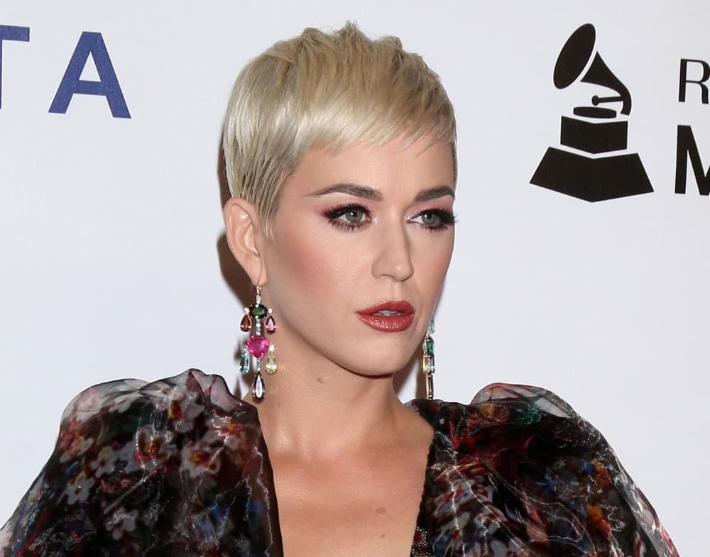 Singer Celebrity's Blonde Pixie - Katy Perry