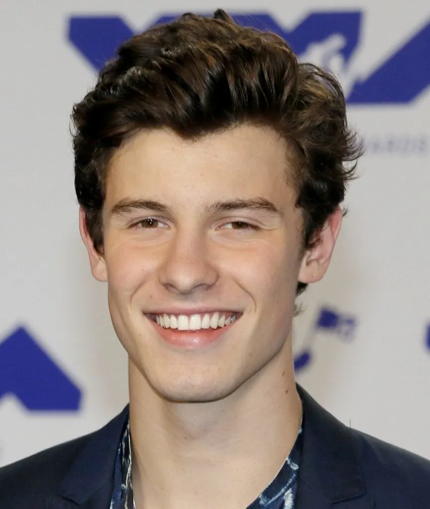 Singer With Brown Hair-Shawn Mendes