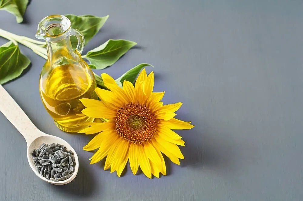 Sunflower Oil Heat Protectant Spray