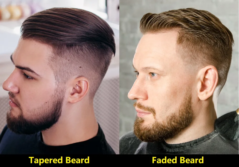 difference betwwen tapered and faded beard
