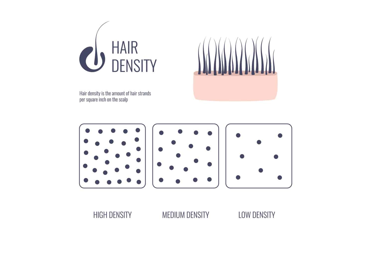 Thick vs Thin Hair - Hair Density
