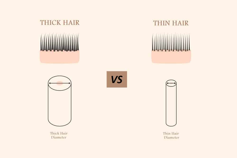 Thick Hair Vs Thin Hair What Are The Differences HairstyleCamp