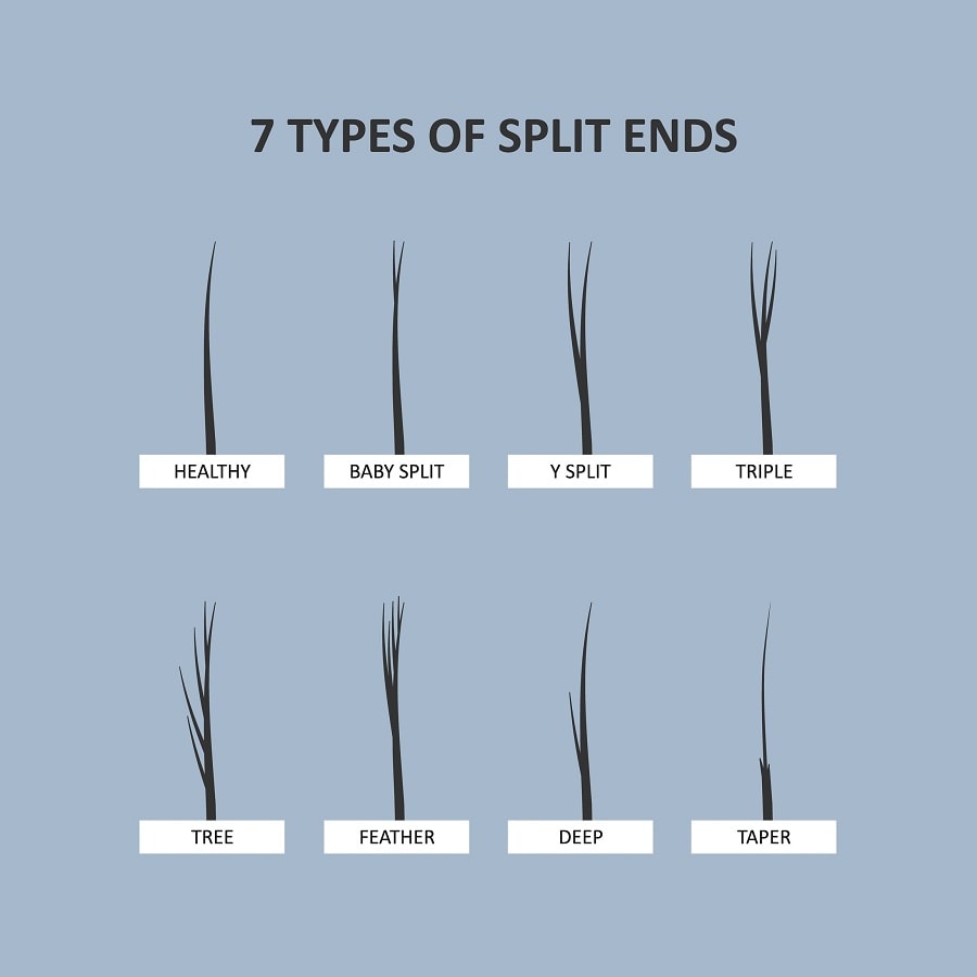 Types of Hair Split Ends