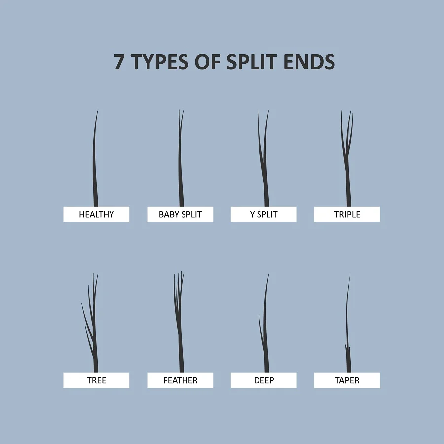 Types of Hair Split Ends