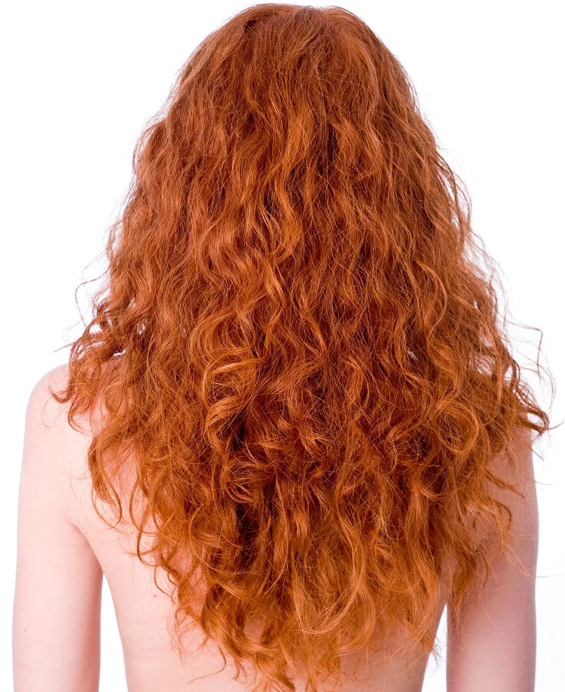 V-shaped ginger curls