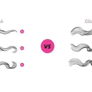 difference between curly and wavy hair