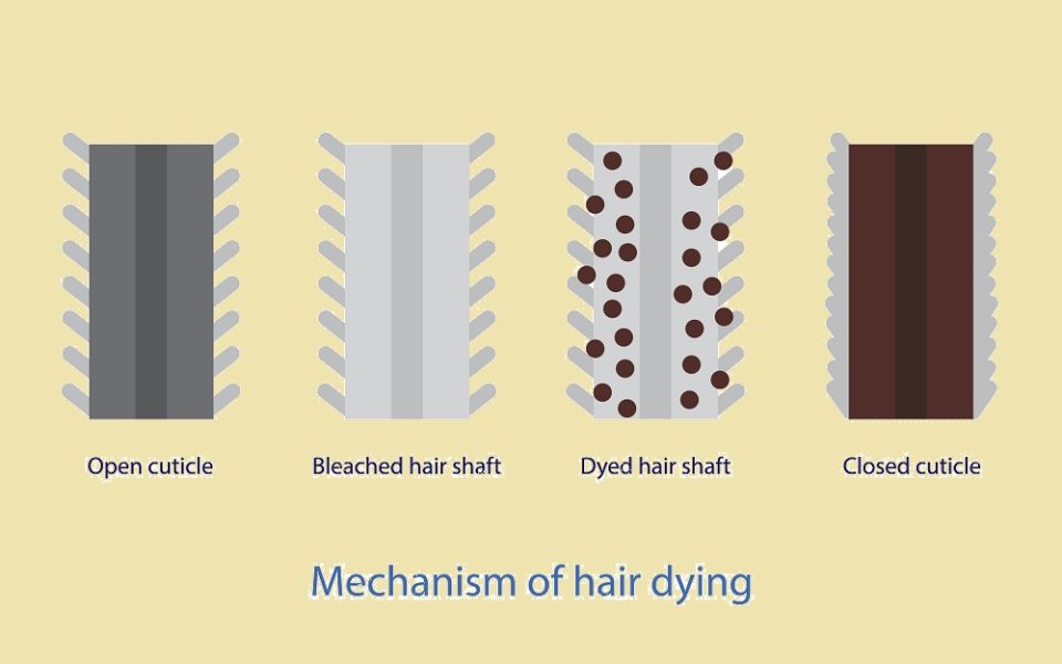 dyeing-your-hair-when-it-s-thinning-is-it-safe