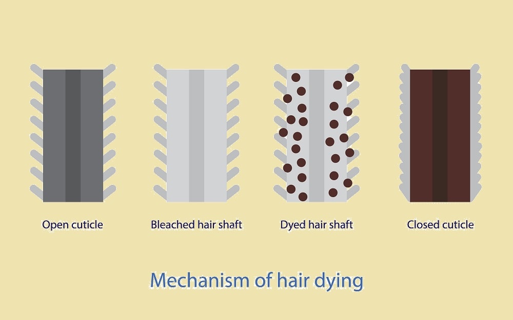 Why Is Dying Hair Bad for My Thinning Hair?