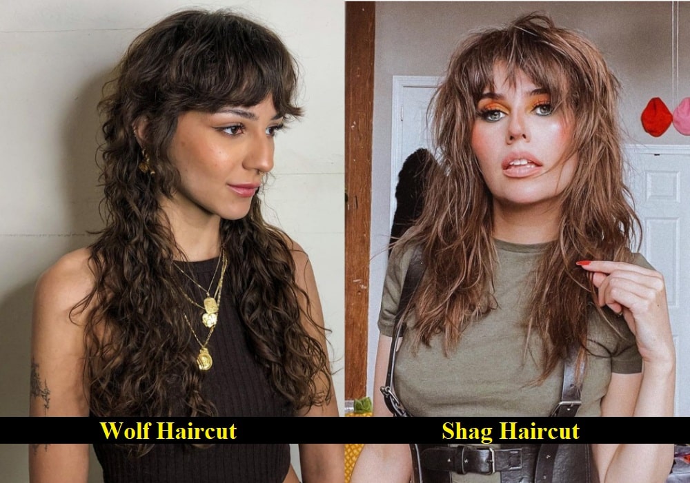 Differences Between Wolf Cut and Shag Haircut