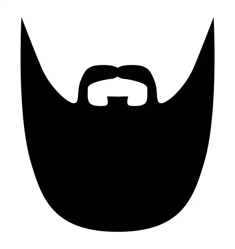 Yeard beard final stage