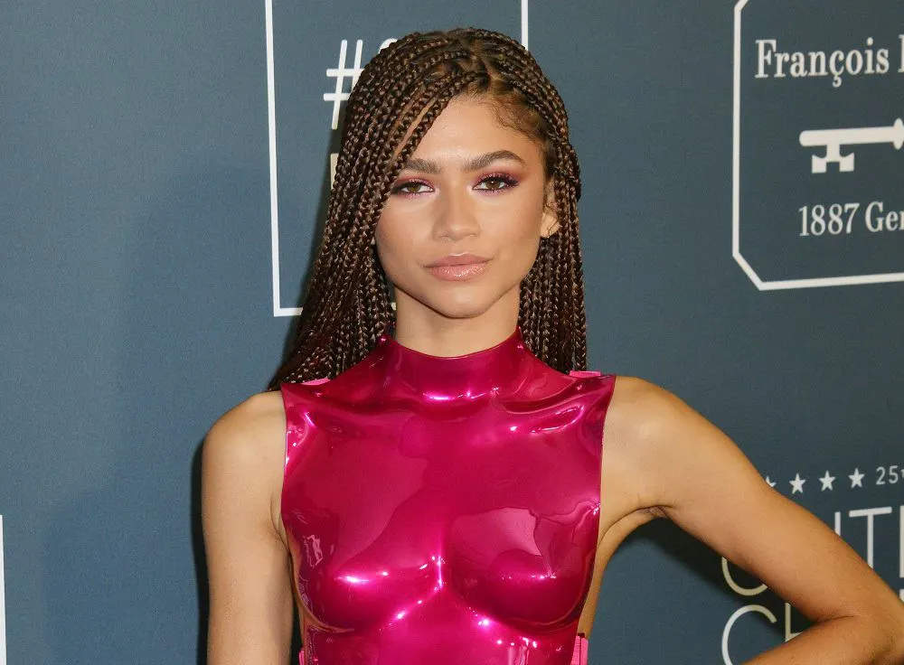 Zendaya Coleman - Celebrity with long braided hair