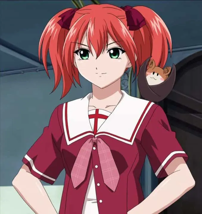 Shuzen Kokoa's Bright Red Pigtails