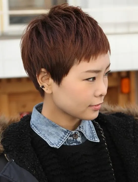 Japanese Pixie Cut with Brown Highlights