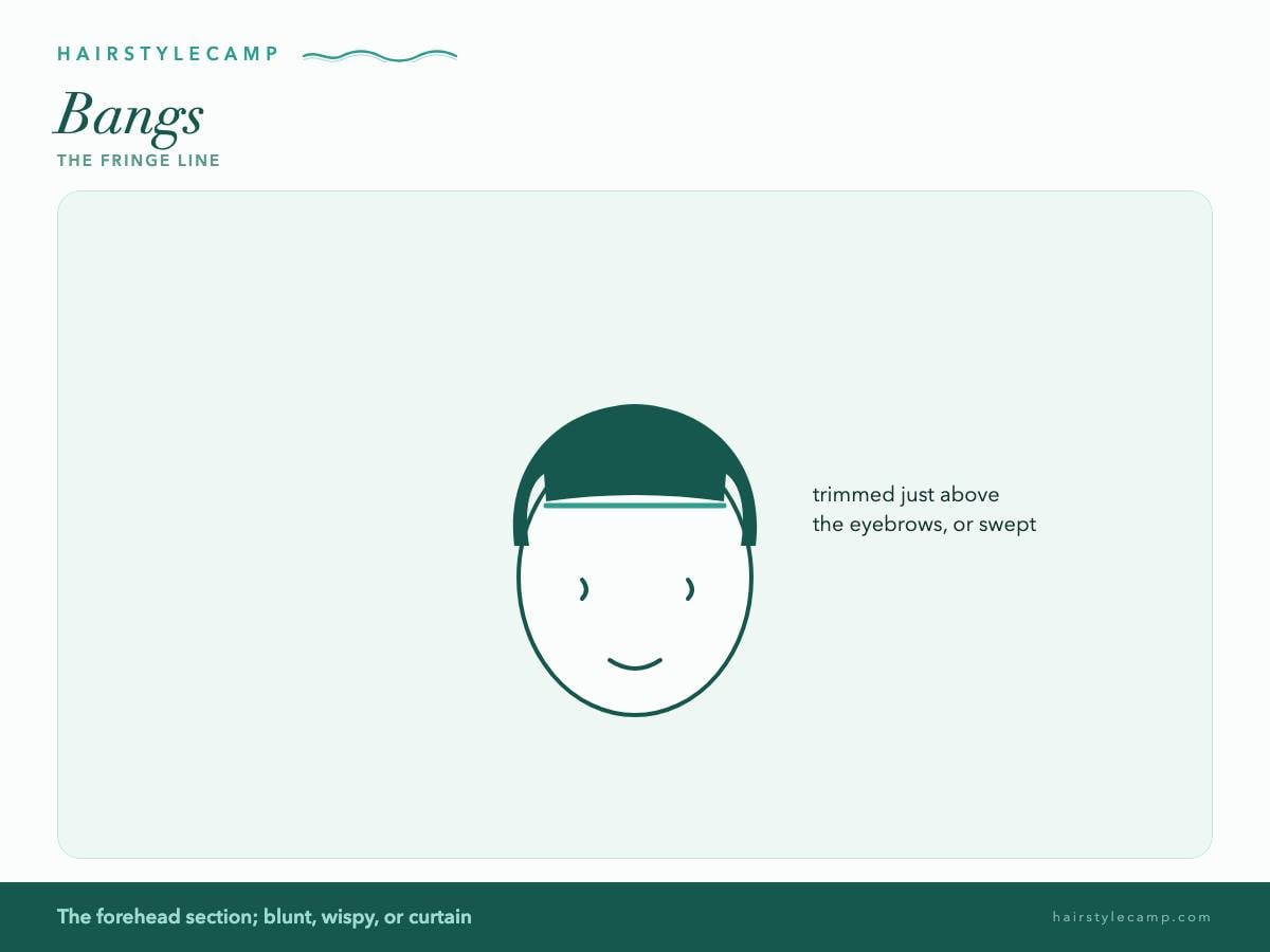 Diagram of bangs falling across the forehead