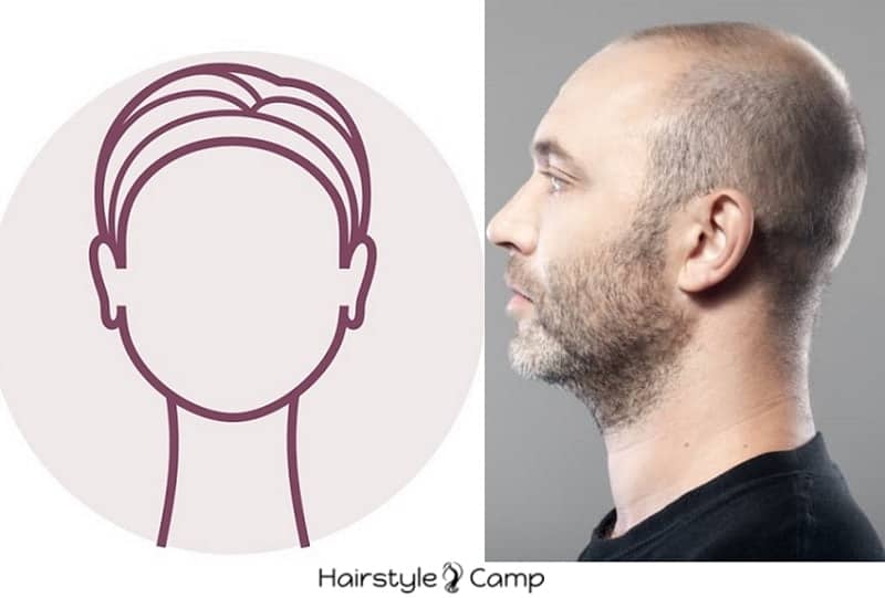 Beard Styles For Round Face And Bald Head Beards Styles