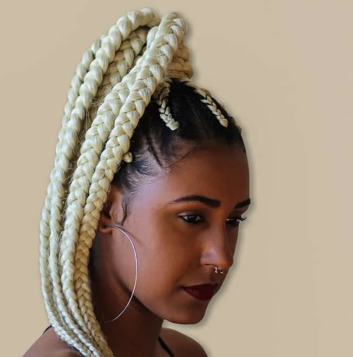 black braided ponytail with weave