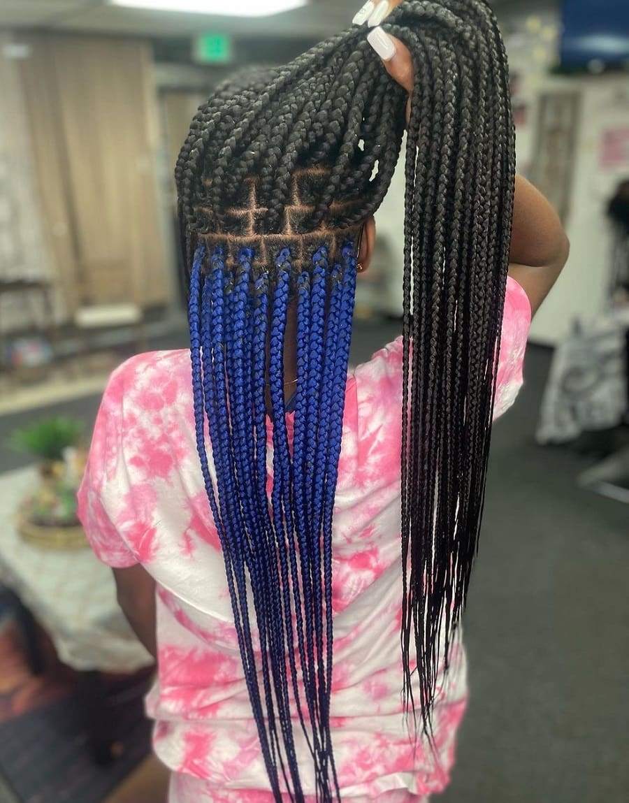 black braids with blue underneath