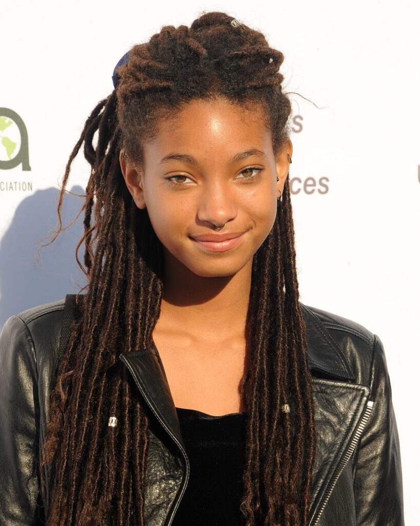 black celebrity singer with dreads-Willow Smith