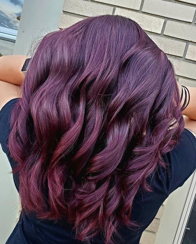 black cherry plum hair color