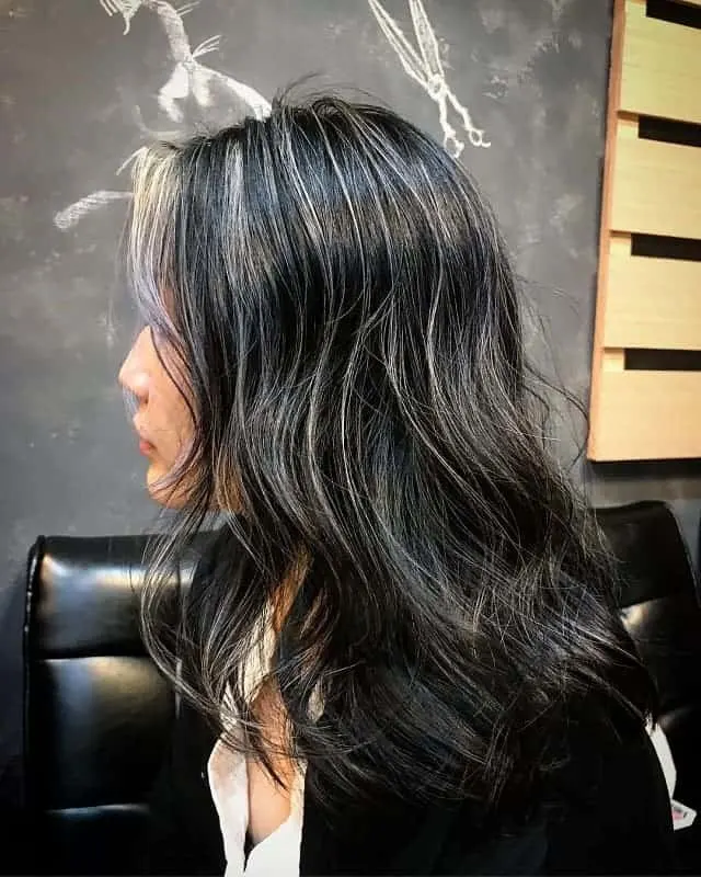 Black Hair with Silver Highlights