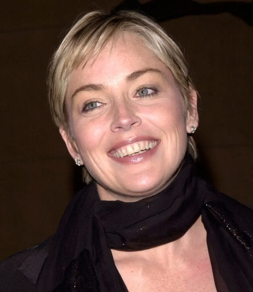 blonde actress from 90s- Sharon Stone