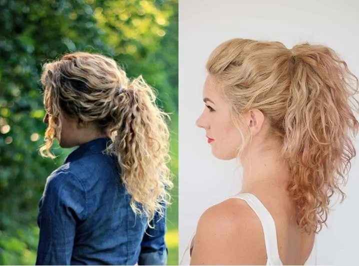 blonde curly ponytail