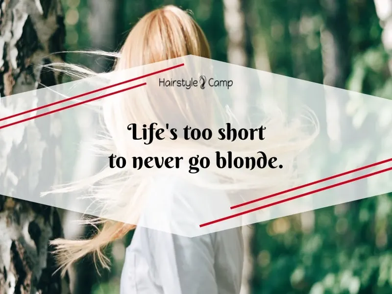 17 Interesting Blonde Hair Quotes You'll Definitely Love – HairstyleCamp