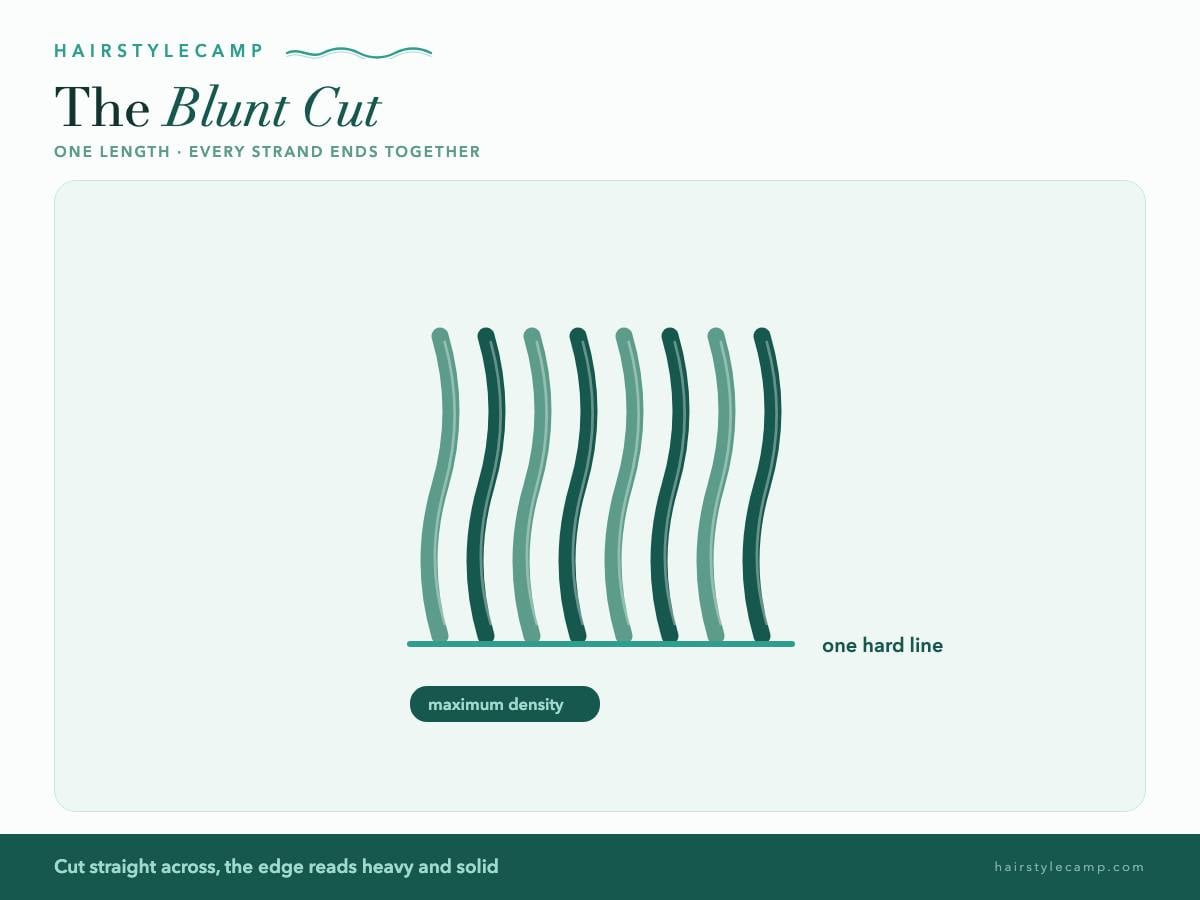 Diagram of a blunt cut with every strand ending at one straight line