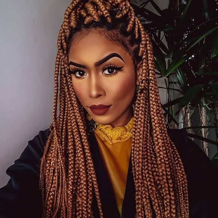 How to Style Box Braids with Weave: 15 Ideas – HairstyleCamp