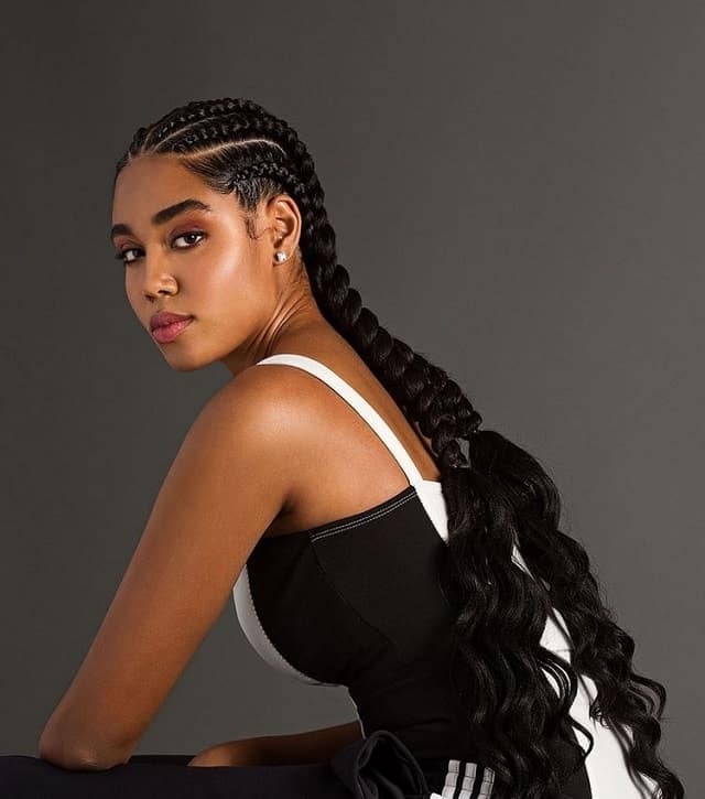 long braided hairstyles for black girls