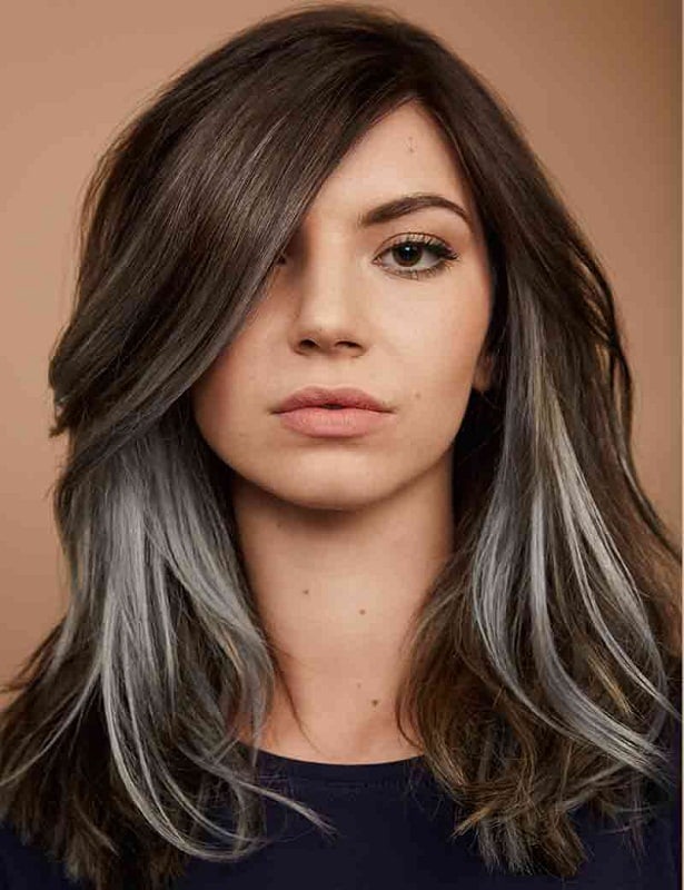 brown hair with silver highlights