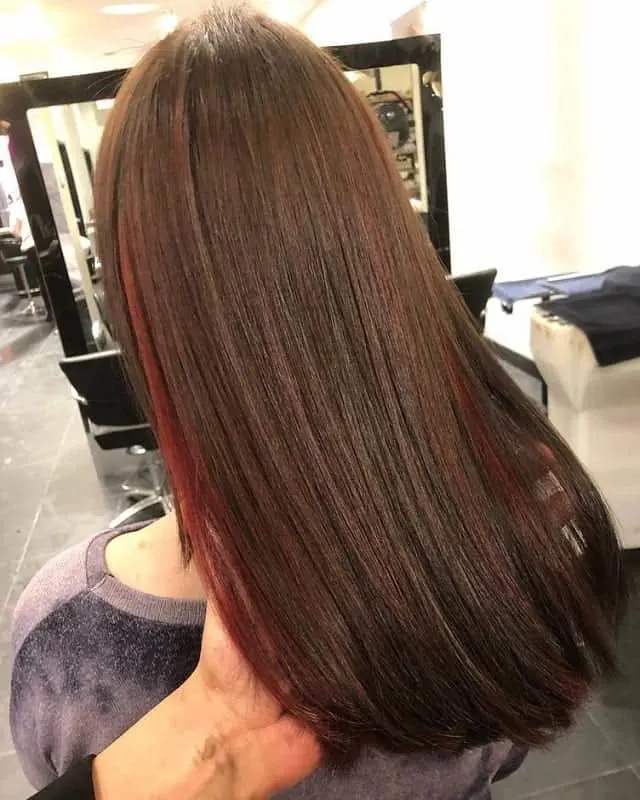 Brown Hair with Burgundy Highlights