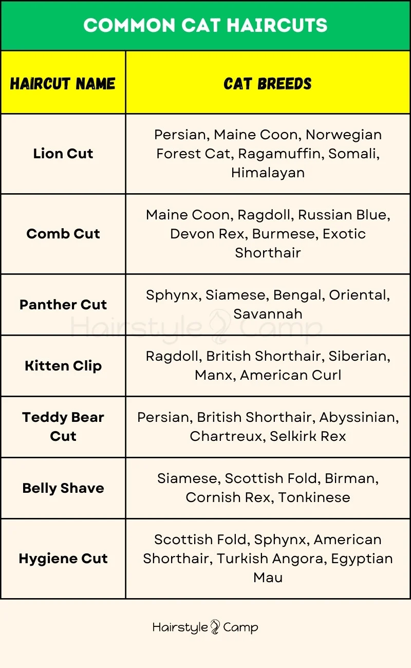 cat haircuts for different cat breeds
