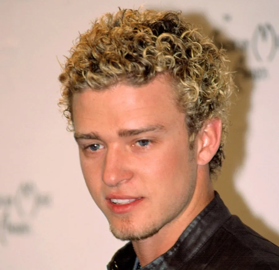 celebrity inspired frosted tips hairstyle
