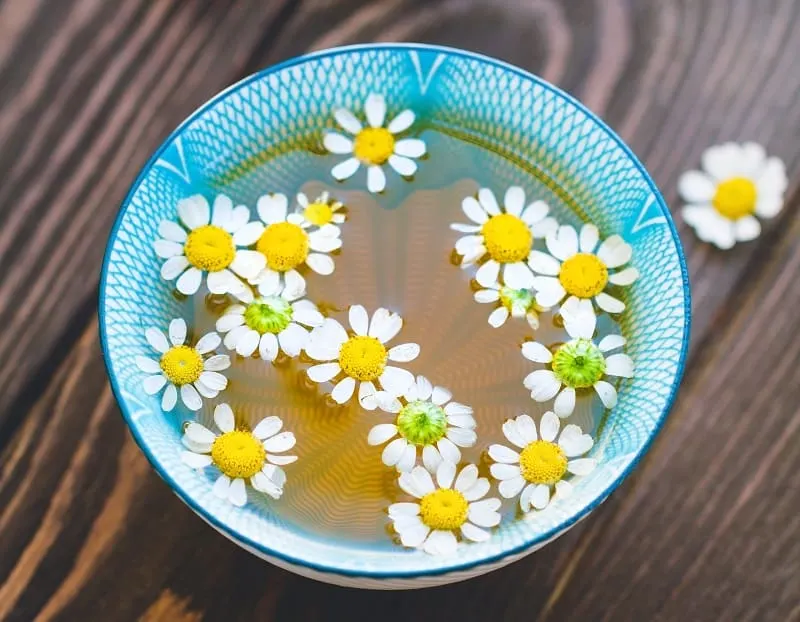chamomile tea for hair removal