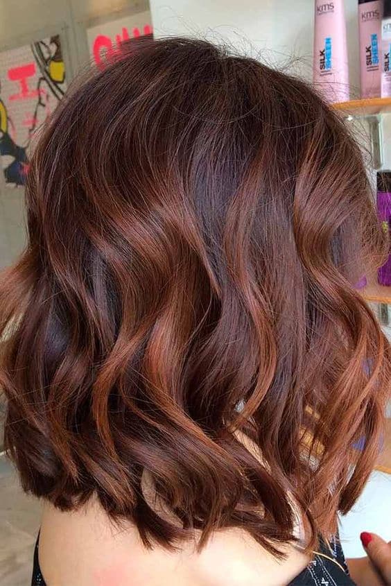 hair color ideas chestnut brown honey highlights