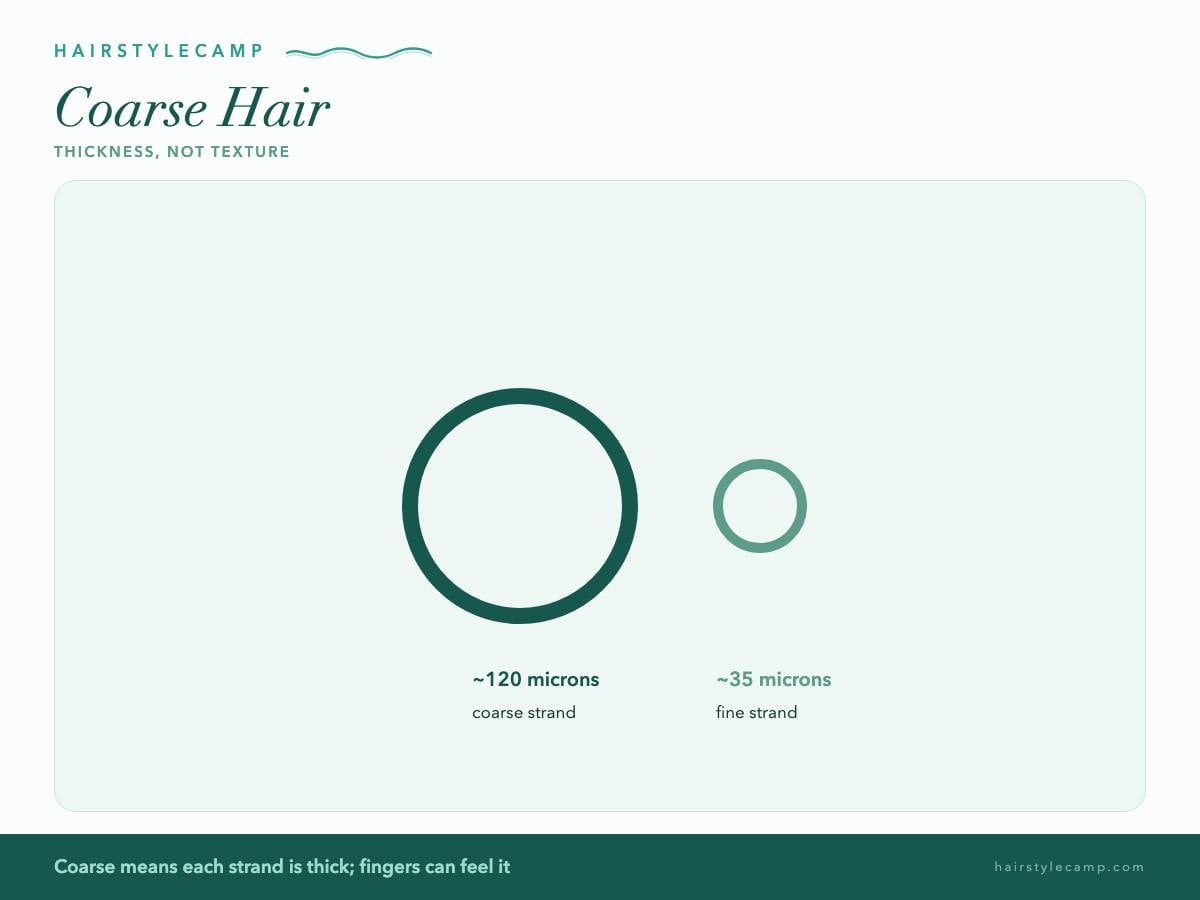 Diagram comparing coarse and fine hair strand thickness