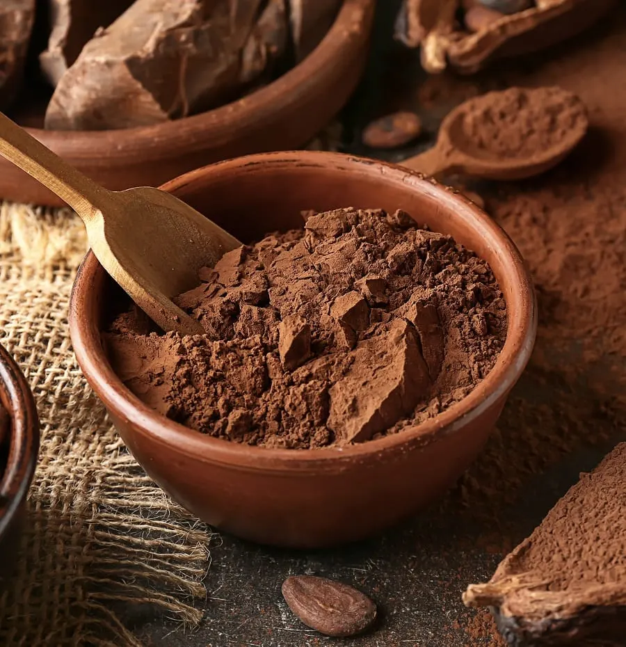 cocoa powder for hair