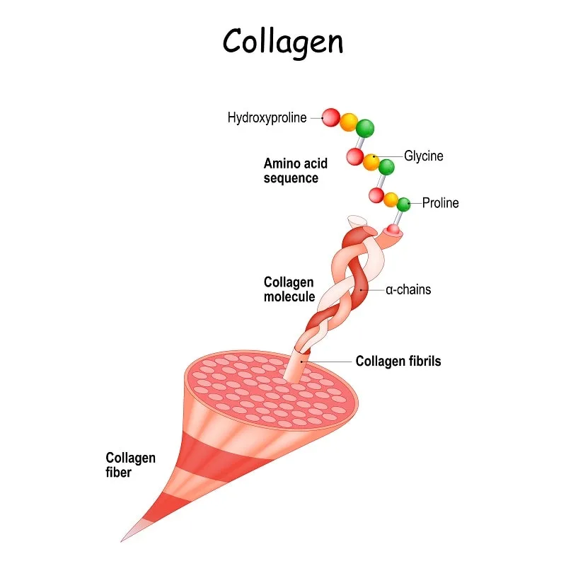 Collagen for Hair - Benefits & How to Use