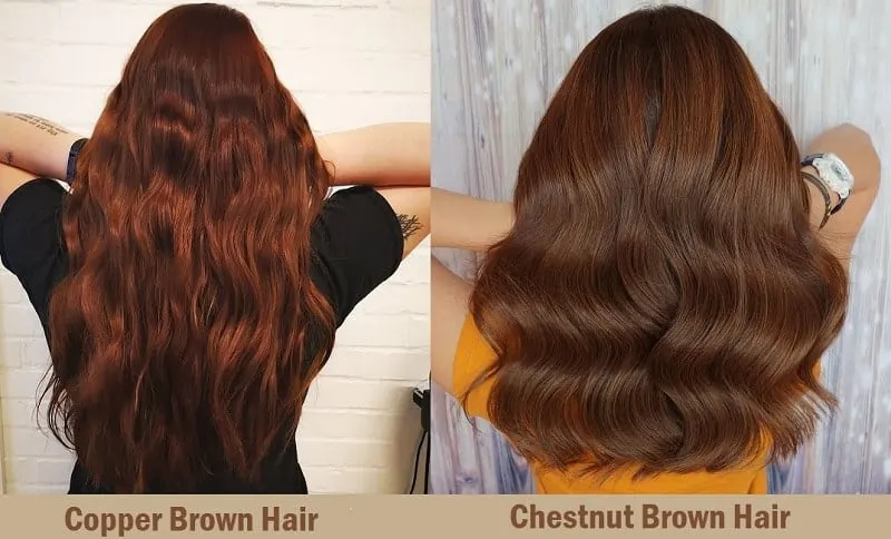 Copper Brown Hair vs Chestnut Brown Hair