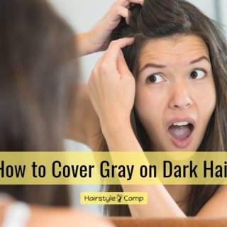 cover gray on dark hair