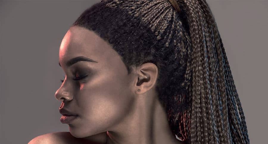 5 Exotic Crochet Braids With Ponytails – HairstyleCamp
