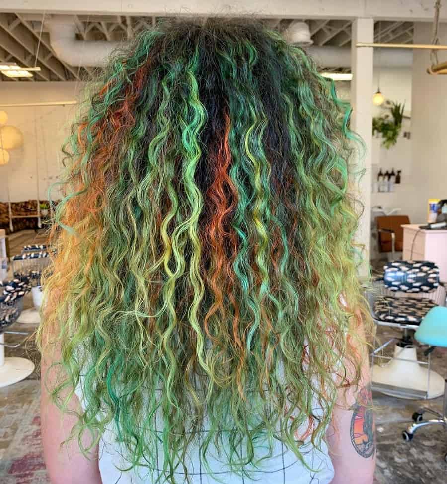 curly hair with multcolor highlights