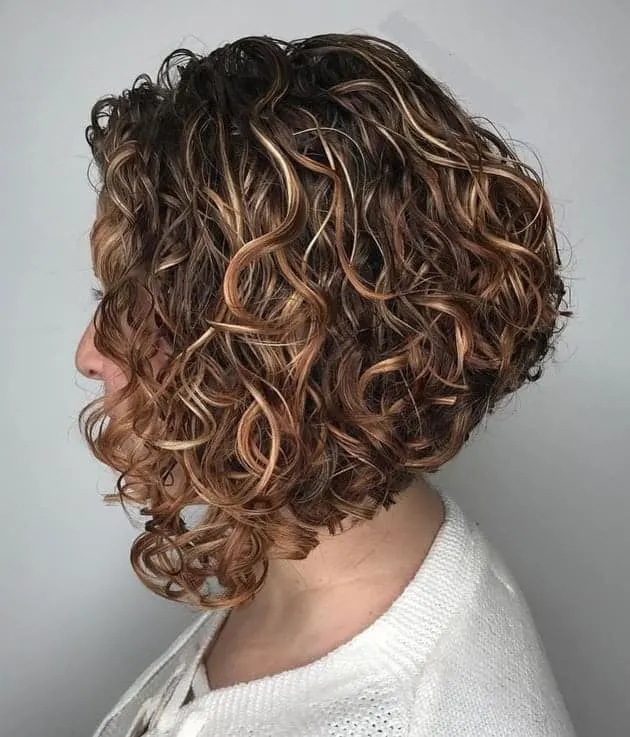 Image of Tapered bob for short curly hair