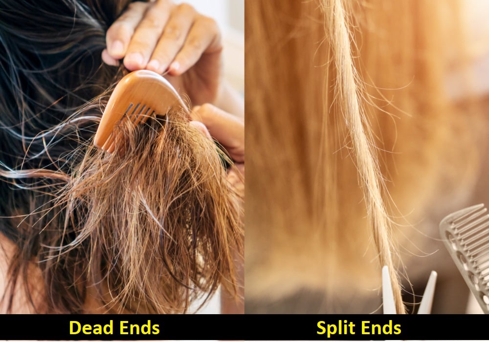 difference between split and dead ends