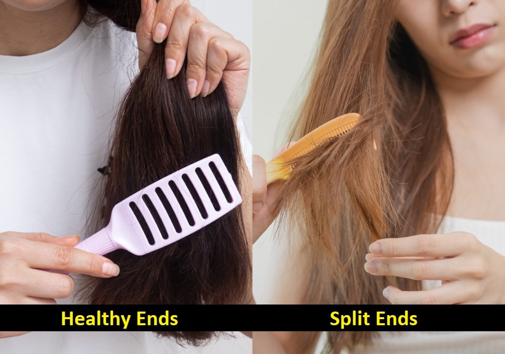 Split Ends vs. Healthy Ends How To Identify and Get Rid of Splits