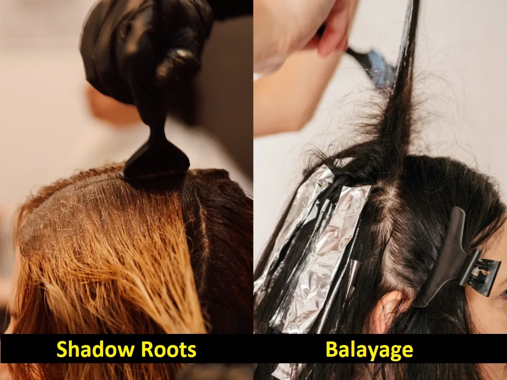 Differences between shade and bulb roots