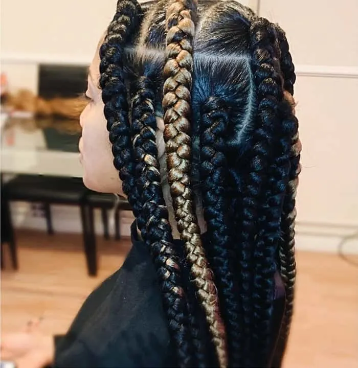 dookie braids with highlights