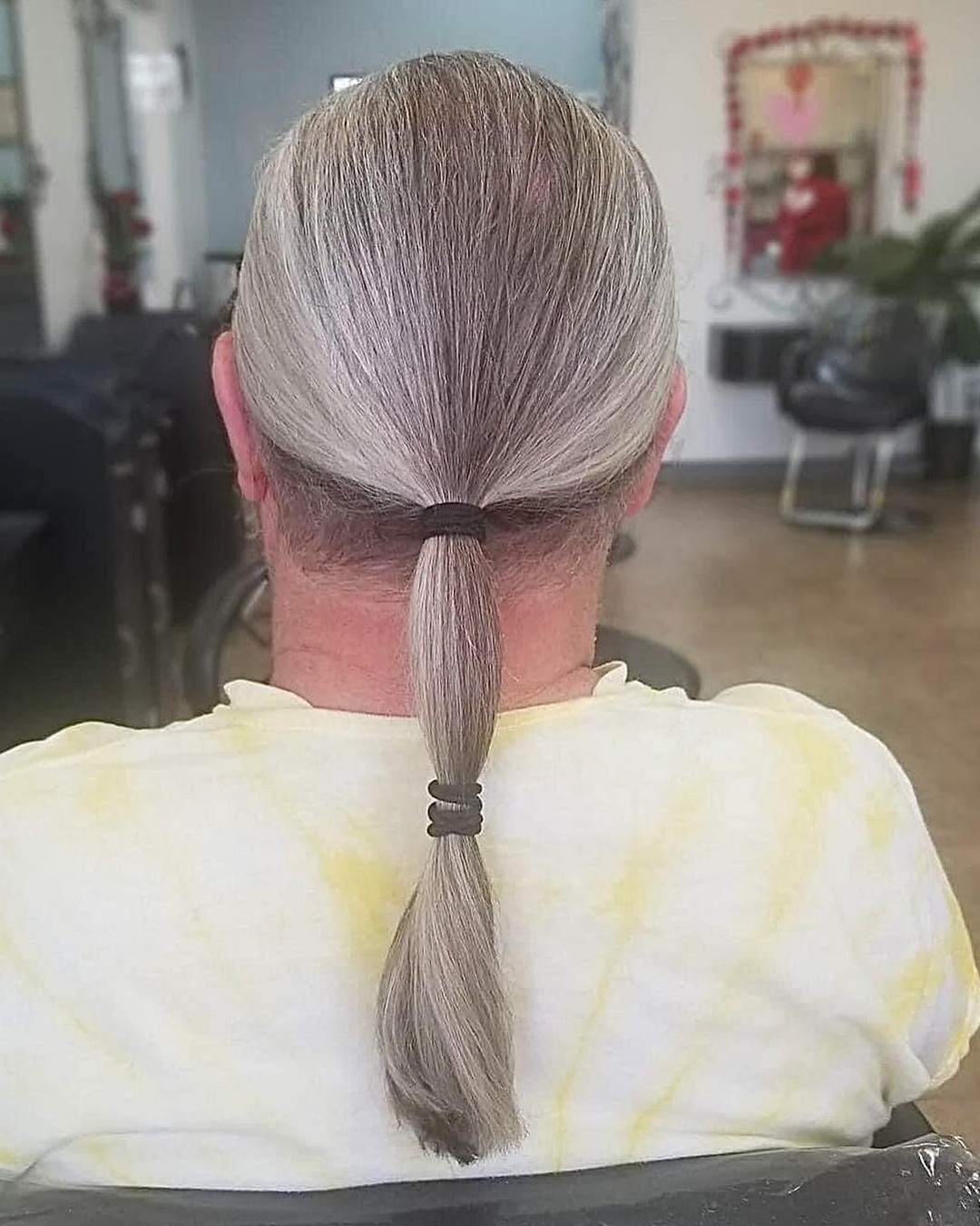 Back view of a silver men long hairstyle tied into a double-banded low ponytail