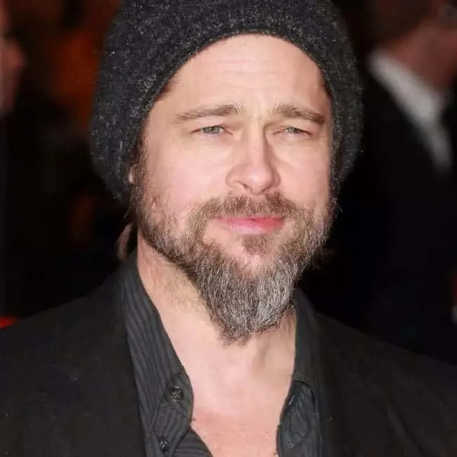 brad pitt's ducktail beard style